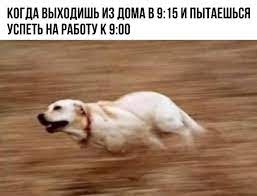 "Приходите пораньше": имеет ли право работодатель требовать от работника приходить на работу раньше начала рабочего дня?
